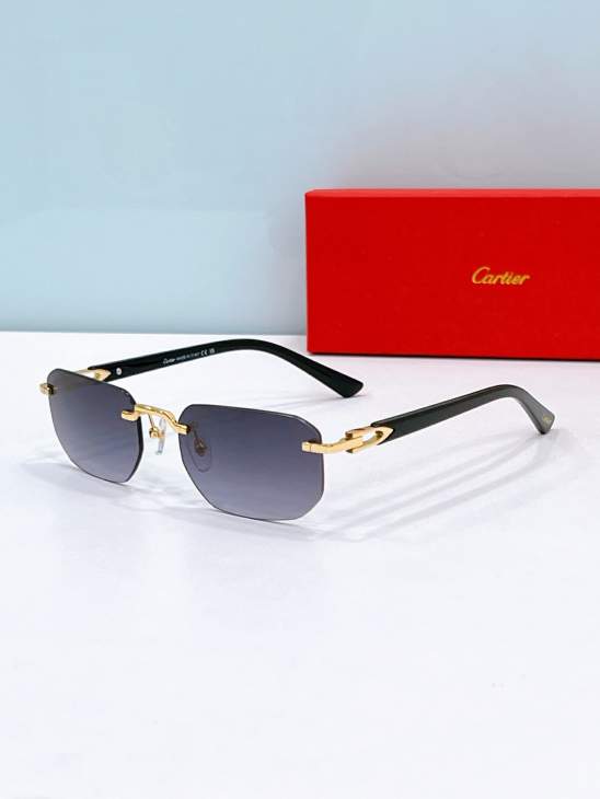 Picture of Cartier Sunglasses _SKUfw79566709fw